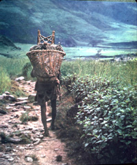 man with carrying a basket on his back