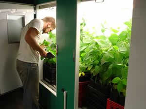 photo of UK research team member recording plant growth progress for specimins in the controlled environment chamber
