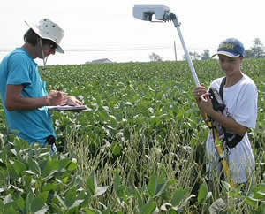 photo of UK research team taking NDVI measurements using GreenSeeker in a soybean plots at Spindletop Research Farm