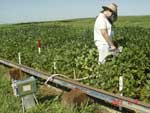 Photo showing the LI 6400 in use for a soybean field in Londrina.