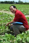 photo showing Weibo Dong collecting data in a Georgia soybean plot