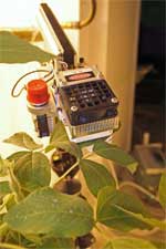 photo showing LI 6400 device clamped onto a test plant leaf to measure photosynthetic rate