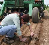 photo of Elena checking seed depth from the planter output