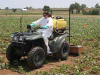 photo of Elena Prior in protective gear applying an herbicide from the back of an ATV (all terrain vehicle)