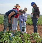 photo of team in field using the LI-6400