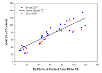 plot showing showing linear relationship to leaf area duration reduction from SBR infestation (simulated as defoliation)and yield loss