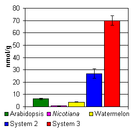 Graph of Allene Oxide Synthase Product Levels