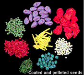 Coated and Pelleted Seeds