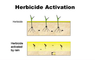 Herbicide activation in soil
