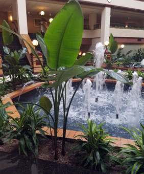 Plants in a hotel lobby