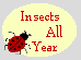 Insects All Year