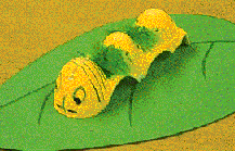 egg carton caterpillar