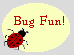 Bug Fun!