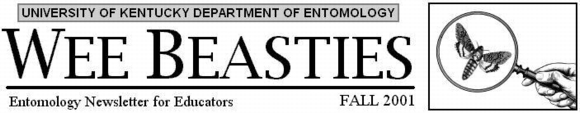 Wee Beasties Newsletter for Educators banner