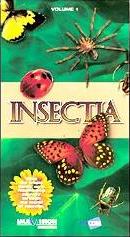 video cover:  Insectia