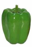 Bell pepper