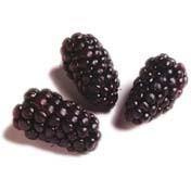 Blackberries