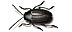 Fleabeetle