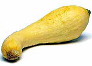 Yellow squash