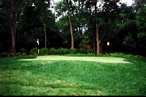 Lawn and Turf