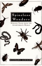 front cover of book:  Spineless Wonders