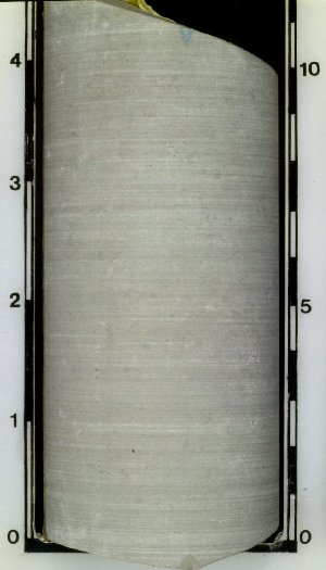 Massive (homogeneous) shaly limestone in core (804). This sample could easily be mistaken for a massive siltstone, if not tested with acid. The faint lines on this core are from core drilling, and do not represent true bedding.