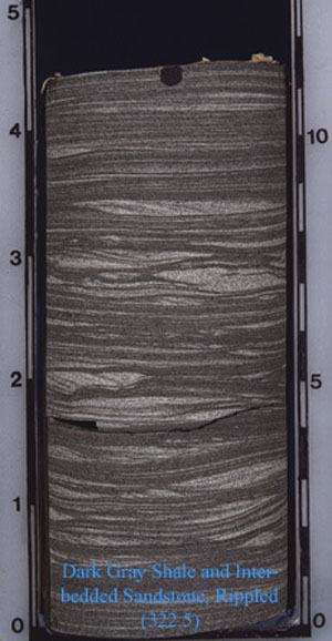 Dark Gray Shale and Inter-bedded Sandstone, Rippled. 322.5. Examples of heterogeneous, sandy, fine-grained rocks.