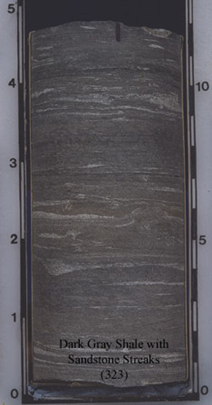 Dark Gray Shale with Sandstone Streaks, 323, Examples of heterogeneous, sandy, fine-grained rocks.