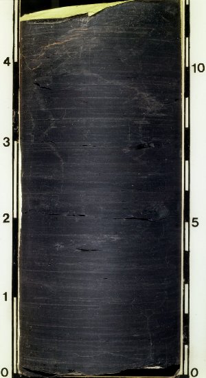 Black fine-grained shale in core (114).