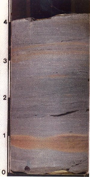 Dark gray shale in core (124).