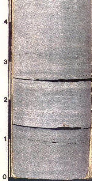 Light gray/green shale in core (134).