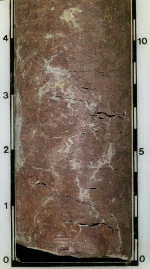 Red claystone in core (164). This color is particularly common in ancient soils, called paleosols. 