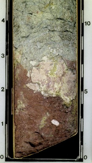Mixed red and green claystone in core (254). This is sometimes referred to as variegated color. This color is particularly common in ancient soils, called paleosols. 