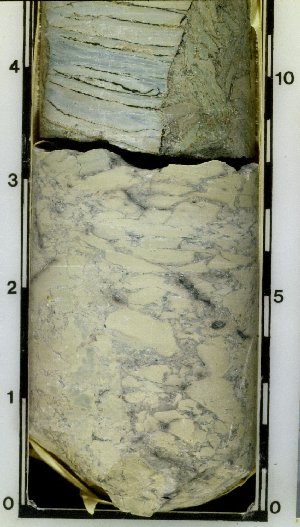 Buff-colored flint clay (claystone) in core (091). This color is particularly common in ancient soils, called paleosols. 