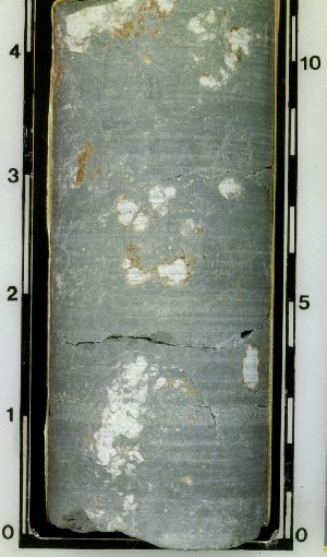 Limestone nodules (react with acid) in dark claystone (dark part does not react) in core (234). These types of nodules are common in ancient soils (paleosols). 