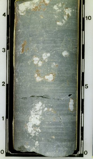 Limestone nodules (react with acid) in dark claystone (dark part does not react) in core (234). These types of nodules are common in ancient soils (paleosols).