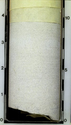 Carbonate sandstone in core (514). Carbonate sandstones are easily mistaken for normal (noncalcareous) sandstones if not tested with acid. The grains in these specimens are made of carbonate material, often rounded (oolitic), but sometimes angular.