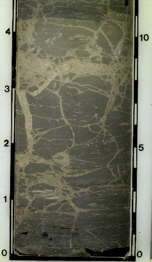 Mosaic limestone in core (805). This type of feature in a carbonate generally represents ancient soil processes. It reacts with acid.