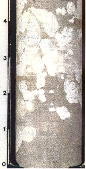 Nodular limestone in core (906).