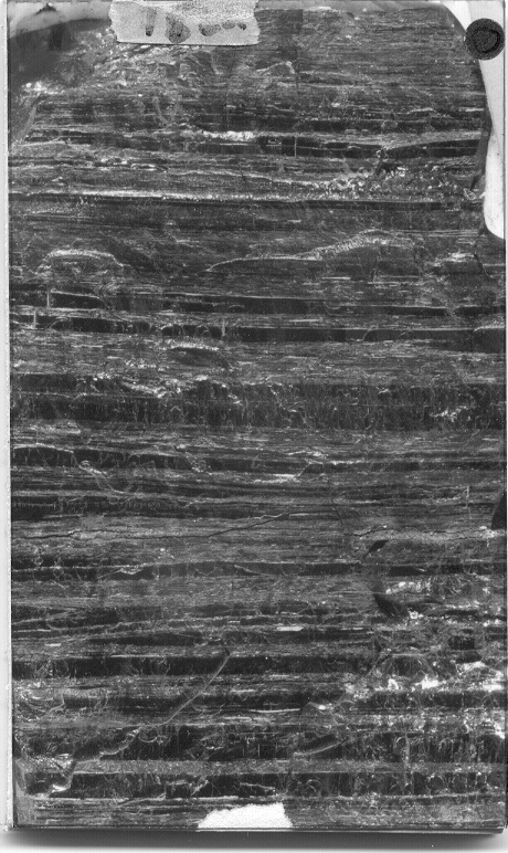 Hand sample of a bright banded coal where the matrix material is duller than the bands. 