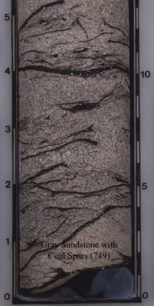 Coal spars in sandstone core (749). 