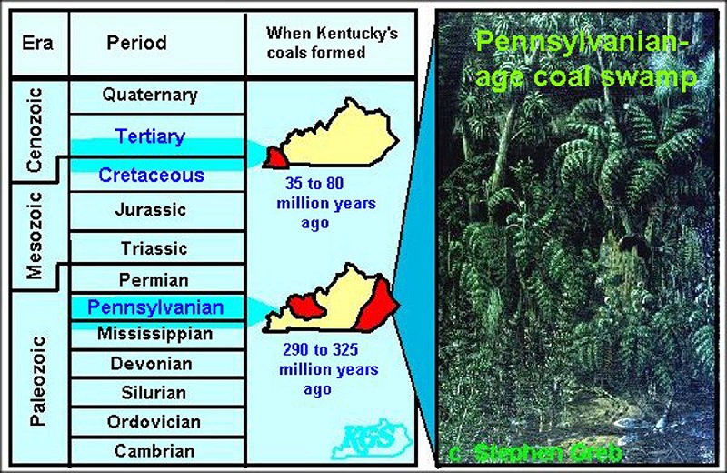 When did Kentucky's coal form?
