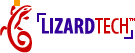 LizardTech Web page