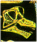 Can you find --- on the "Progression of Life" Poster?