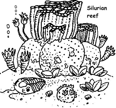 Simple Coral Reef Food Web. Feb 20, 2010. Silurian coral reef (simple)