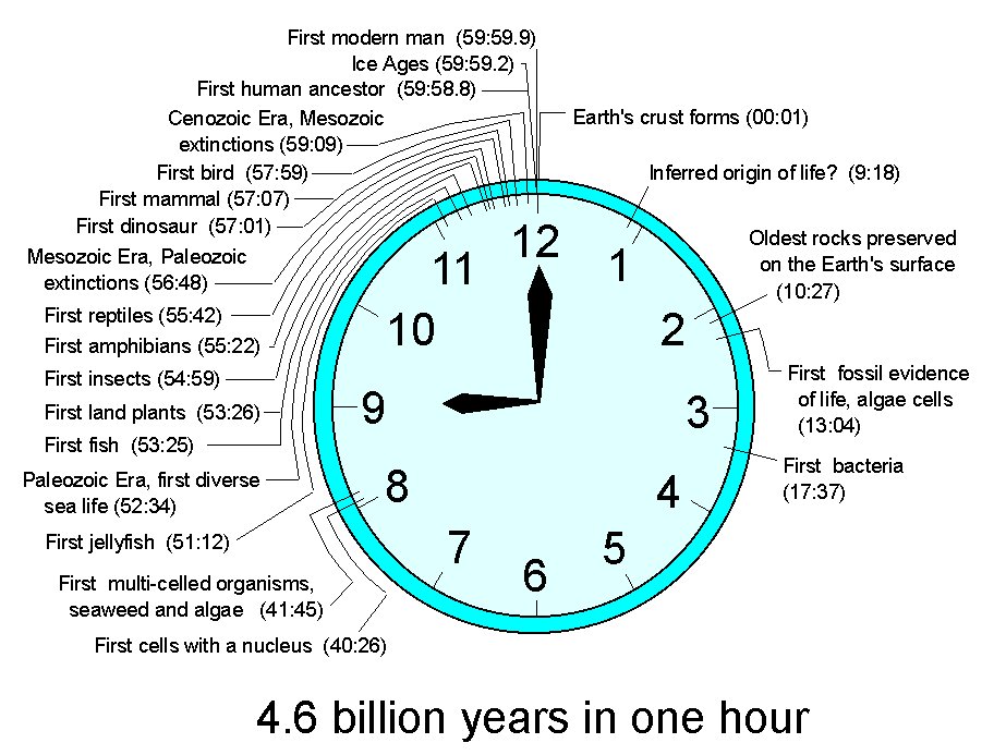 Image result for timeline of earth on a clock
