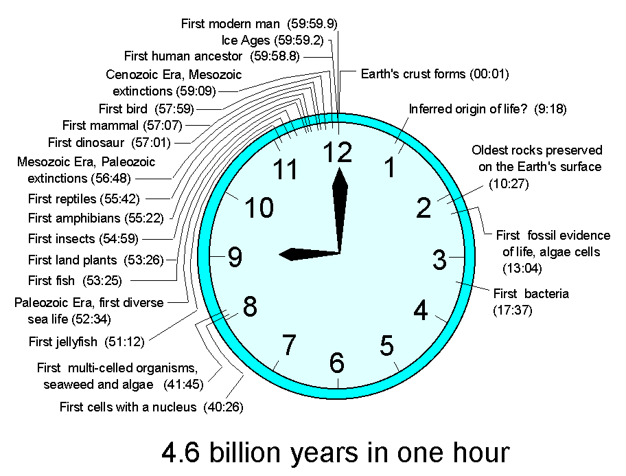 time clocks