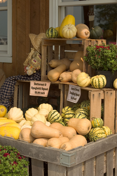 On-farm stores are among numerous agritourism opportunities