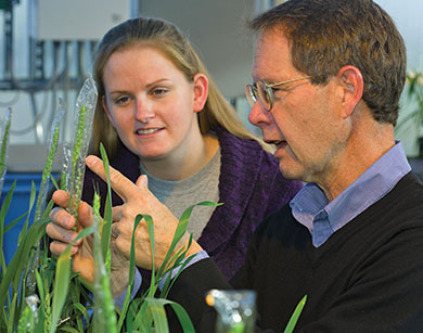 Plant and Soil Sciences professor Dave Van Sanford works with a graduate student