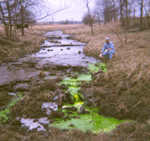 Randy Paylor of KGS performs a dye trace at Dry Branch in Boyle County.
